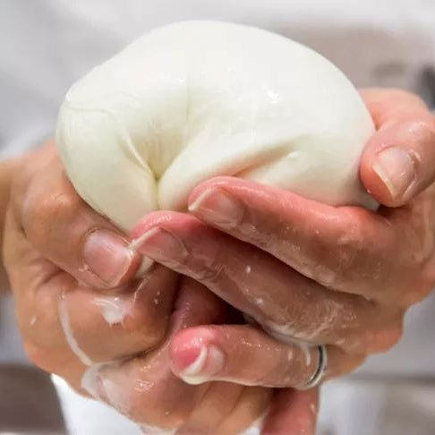 Fresh Mozzarella Making Night!