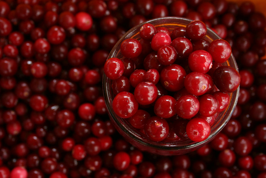 Christmas recipe: cranberry sauce